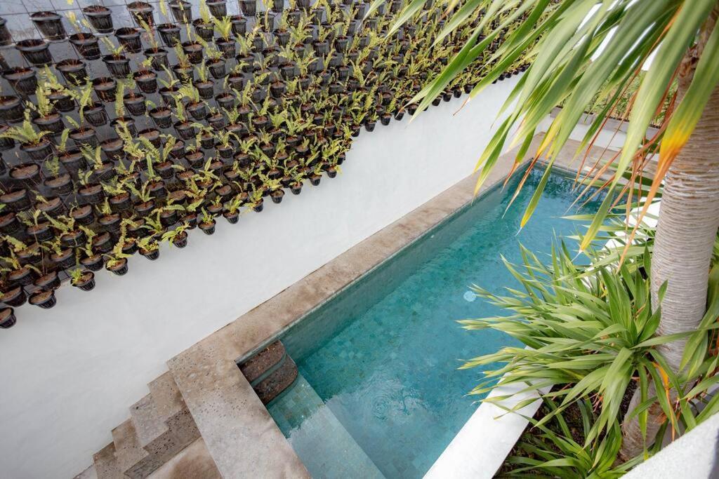 Town House Camy Apartemen Seminyak (Bali)